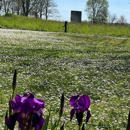 Domaine Des Gorins Ferienhaus *